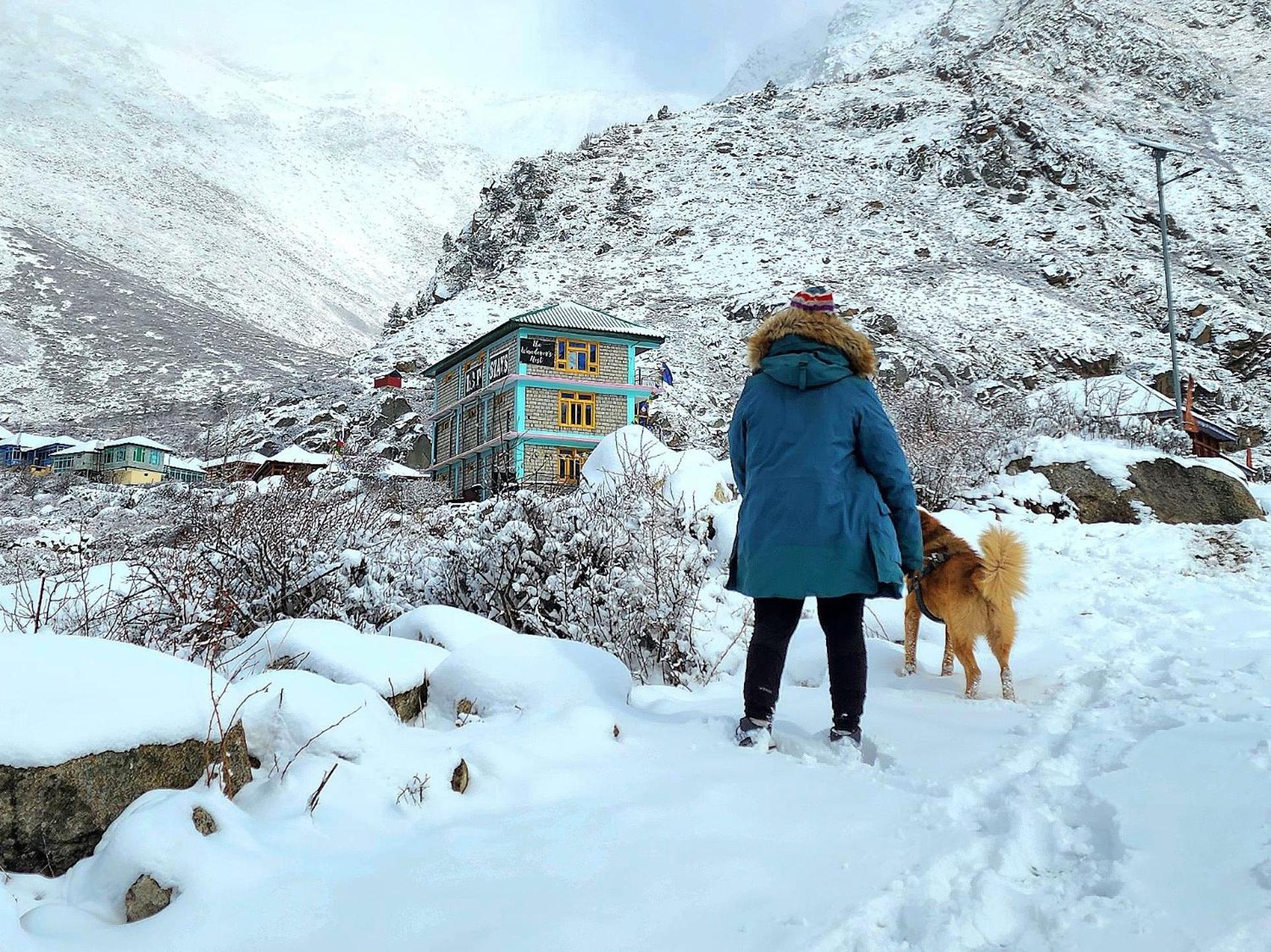 Lap Stays - Wanderer'S Nest Chitkul Exterior photo